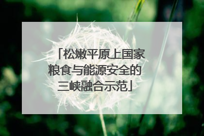 松嫩平原上国家粮食与能源安全的三峡融合示范