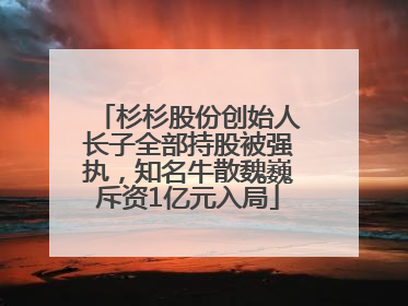 杉杉股份创始人长子全部持股被强执，知名牛散魏巍斥资1亿元入局