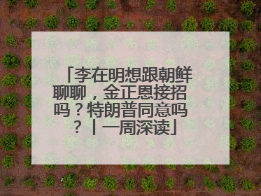 李在明想跟朝鲜聊聊，金正恩接招吗？特朗普同意吗？丨一周深读