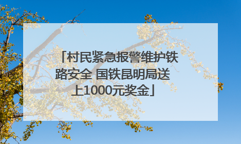 村民紧急报警维护铁路安全 国铁昆明局送上1000元奖金