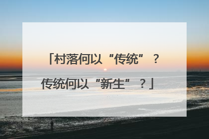 村落何以“传统”？传统何以“新生”？