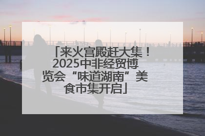 来火宫殿赶大集！2025中非经贸博览会“味道湖南”美食市集开启