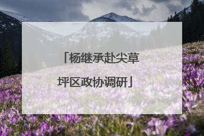 杨继承赴尖草坪区政协调研