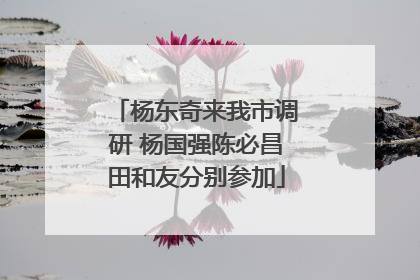 杨东奇来我市调研 杨国强陈必昌田和友分别参加