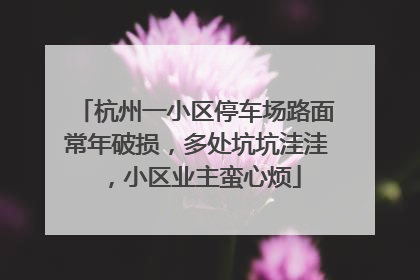 杭州一小区停车场路面常年破损，多处坑坑洼洼，小区业主蛮心烦