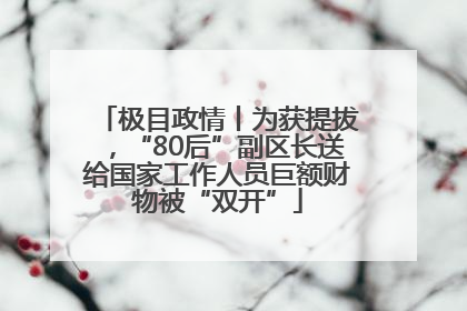 极目政情丨为获提拔，“80后”副区长送给国家工作人员巨额财物被“双开”