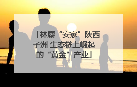 林麝“安家”陕西子洲 生态链上崛起的“黄金”产业