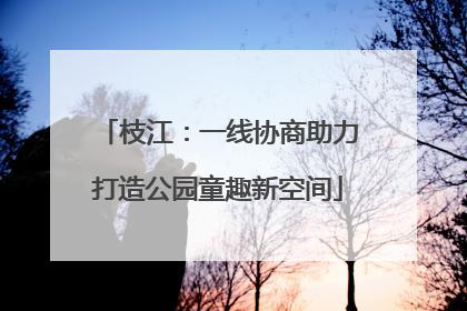 枝江：一线协商助力打造公园童趣新空间