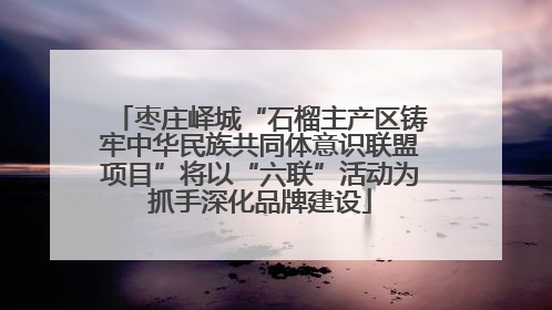 枣庄峄城“石榴主产区铸牢中华民族共同体意识联盟项目”将以“六联”活动为抓手深化品牌建设