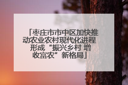 枣庄市市中区加快推动农业农村现代化进程 形成“振兴乡村 增收富农”新格局