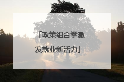 政策组合拳激发就业新活力