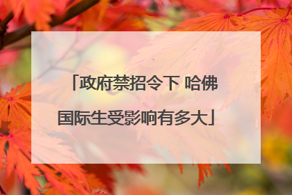 政府禁招令下 哈佛国际生受影响有多大