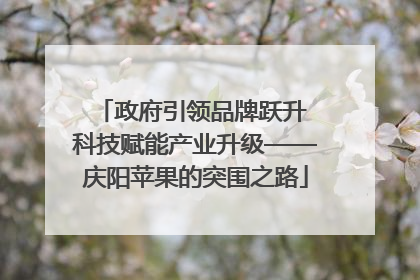 政府引领品牌跃升 科技赋能产业升级——庆阳苹果的突围之路
