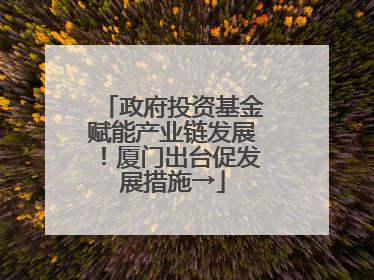 政府投资基金赋能产业链发展！厦门出台促发展措施→