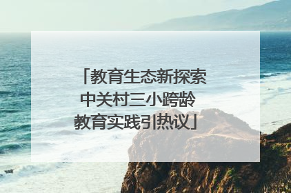 教育生态新探索 中关村三小跨龄教育实践引热议