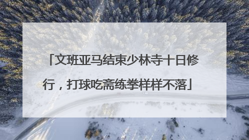文班亚马结束少林寺十日修行，打球吃斋练拳样样不落