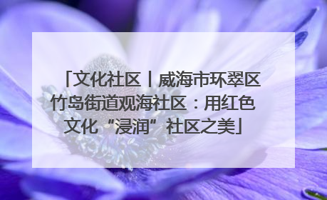 文化社区丨威海市环翠区竹岛街道观海社区：用红色文化“浸润”社区之美