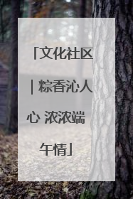 文化社区｜粽香沁人心 浓浓端午情