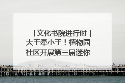 文化书院进行时｜大手牵小手！植物园社区开展第三届迷你马拉松活动