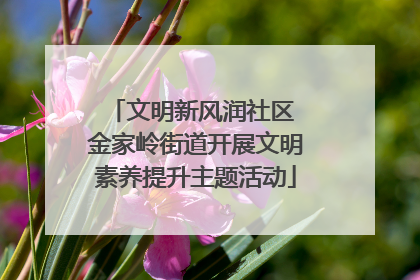 文明新风润社区 金家岭街道开展文明素养提升主题活动
