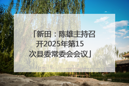 新田：陈雄主持召开2025年第15次县委常委会会议