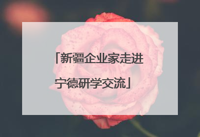 新疆企业家走进宁德研学交流