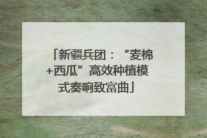 新疆兵团：“麦棉+西瓜”高效种植模式奏响致富曲