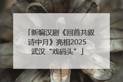 新编汉剧《回首共叙诗中月》亮相2025武汉“戏码头”
