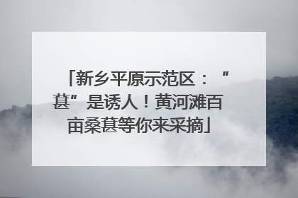 新乡平原示范区：“葚”是诱人！黄河滩百亩桑葚等你来采摘
