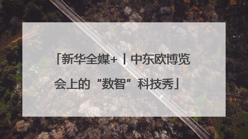 新华全媒+丨中东欧博览会上的“数智”科技秀