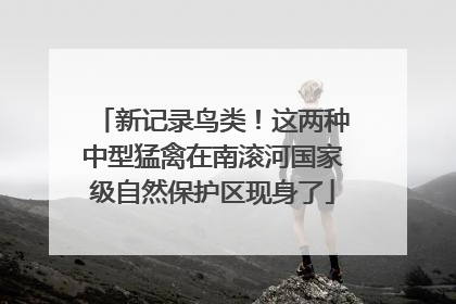新记录鸟类！这两种中型猛禽在南滚河国家级自然保护区现身了