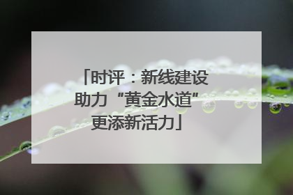 时评：新线建设助力“黄金水道”更添新活力