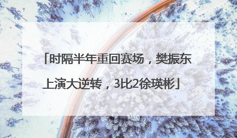 时隔半年重回赛场，樊振东上演大逆转，3比2徐瑛彬