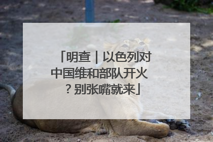 明查｜以色列对中国维和部队开火？别张嘴就来