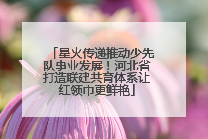 星火传递推动少先队事业发展！河北省打造联建共育体系让红领巾更鲜艳