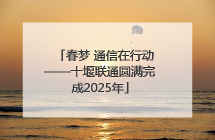 春梦 通信在行动——十堰联通圆满完成2025年