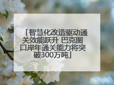 智慧化改造驱动通关效能跃升 巴克图口岸年通关能力将突破300万吨