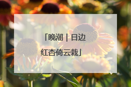 晚潮｜日边红杏倚云栽