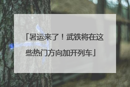暑运来了！武铁将在这些热门方向加开列车