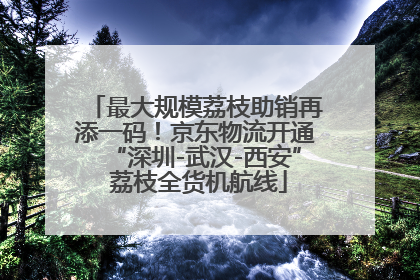 最大规模荔枝助销再添一码！京东物流开通“深圳-武汉-西安” 荔枝全货机航线