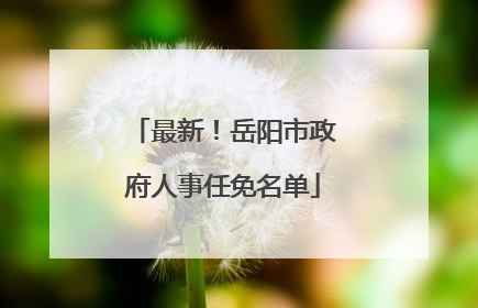 最新！岳阳市政府人事任免名单