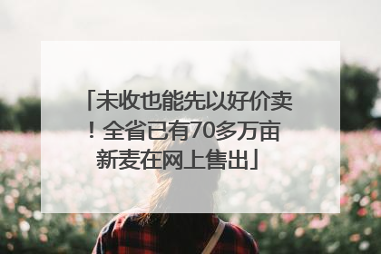 未收也能先以好价卖！全省已有70多万亩新麦在网上售出