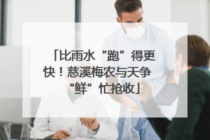 比雨水“跑”得更快！慈溪梅农与天争“鲜”忙抢收