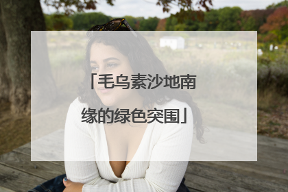 毛乌素沙地南缘的绿色突围
