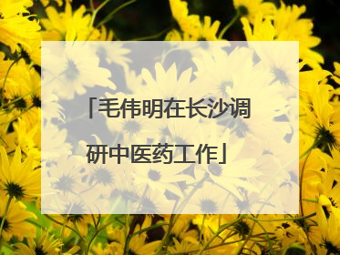 毛伟明在长沙调研中医药工作