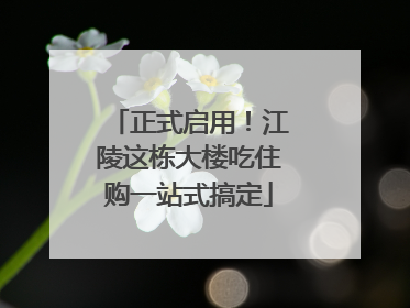 正式启用！江陵这栋大楼吃住购一站式搞定