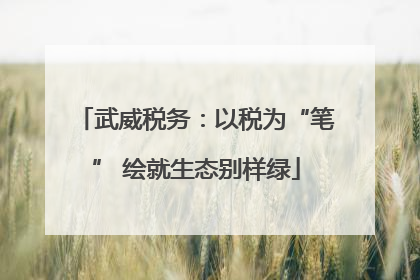 武威税务：以税为“笔” 绘就生态别样绿