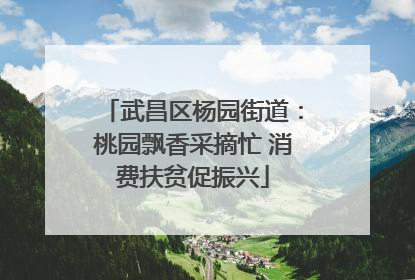 武昌区杨园街道：桃园飘香采摘忙 消费扶贫促振兴
