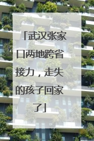 武汉张家口两地跨省接力，走失的孩子回家了