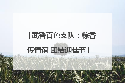 武警百色支队：粽香传情谊 团结迎佳节